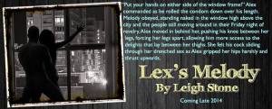 Author Leigh Stone Lex's Melody (Book 1) Belfast Series teaser 1