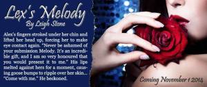 Author Leigh Stone Lex's Melody (Book 1) Belfast Series teaser 3