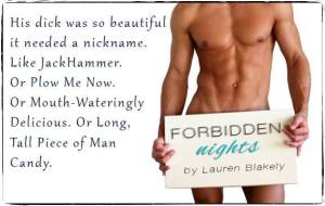 Author lauren blakely forbidden nights teaser