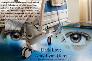 Author Amy Lynn Garcia teaser for book 3