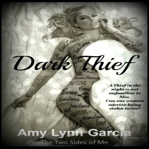 Author Amy Lynn Garicia Dark Thief Cover