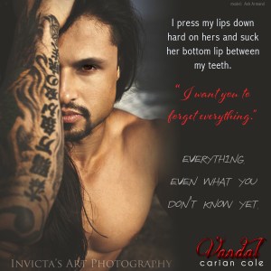 Author Carian Cole vandal_teaser8a