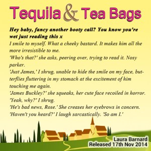 Author Laura Barnard Teaser-1