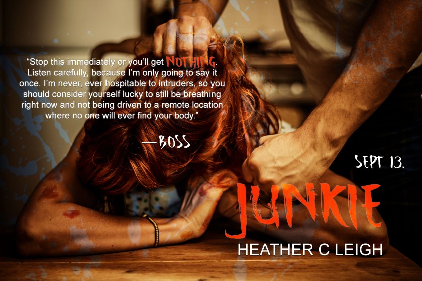 Heather C. Leigh JunkieAd4 (1)9.5.16