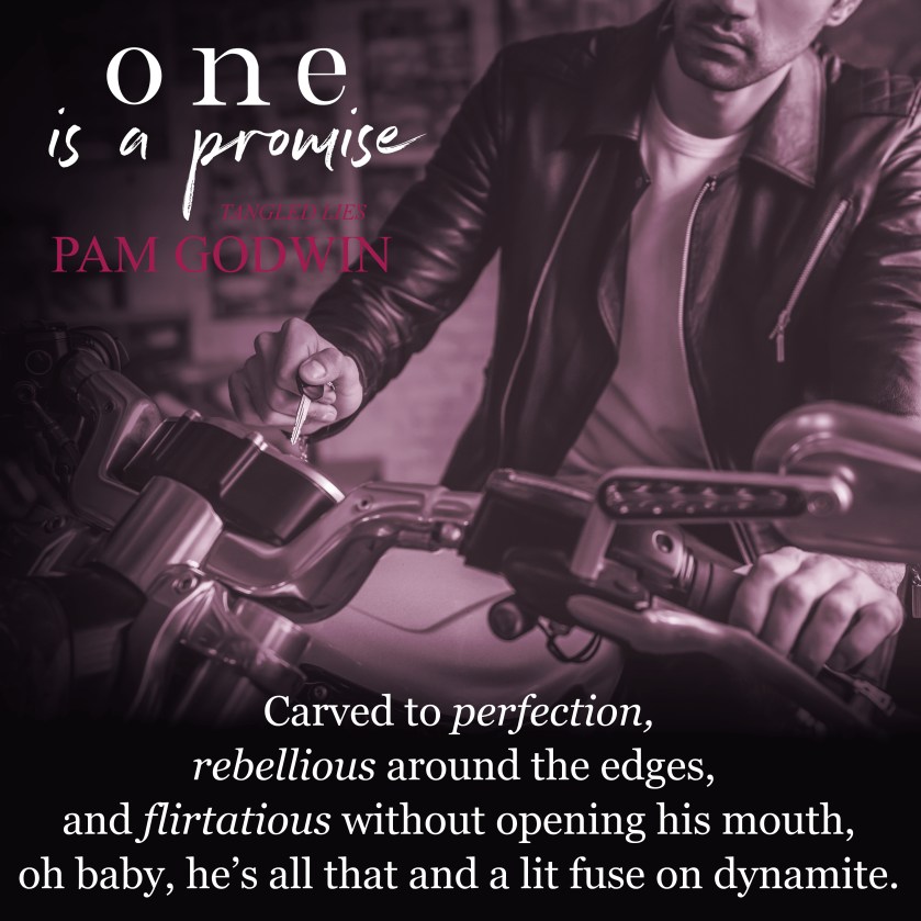 Pam Godwin One to Promise teaser 6.4.17